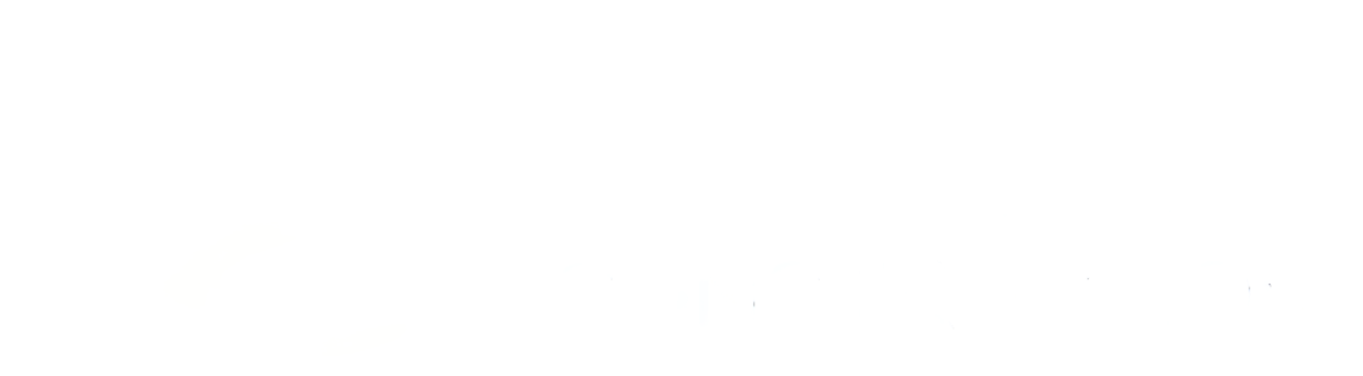 Piacentini Constructions